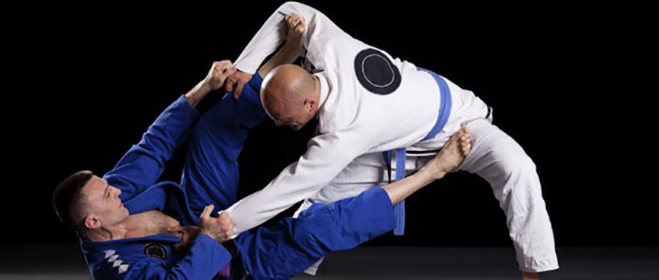 Modalidade JIU JITSU